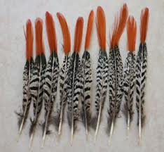 PHEASANT TAIL FEATHER NATURAL COLOR WITH TIP